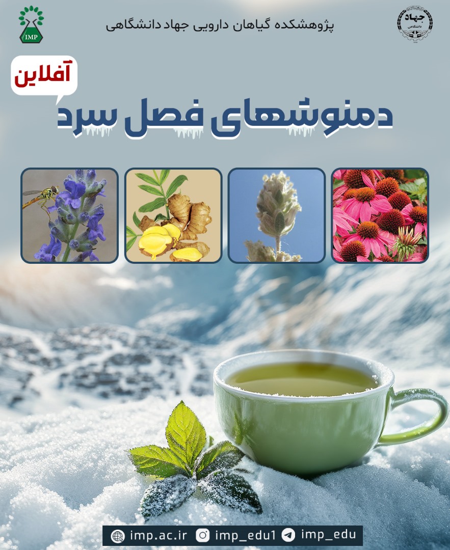 آموزش کارگاه دمنوش های فصل سرما بصورت افلاین