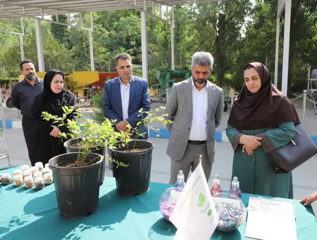 /Uploads/News/برگزاری نشست مشترک سرپرست پژوهشکده گیاهان دارویی و رییس مرکز آموزش عالی امام خمینی(ره) با تاکید بر توسعه همکاریها