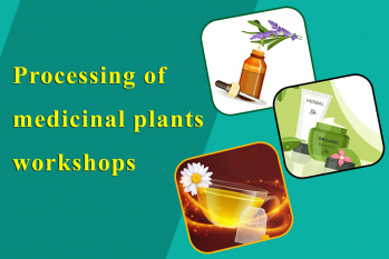 /Uploads/News/Processing of medicinal plants Training courses