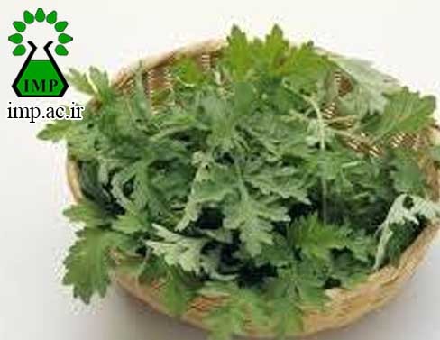 /Uploads/News/فعالیت ضدباکتریایی اسانس و عصاره گیاه درمنه Artemisia vulgaris 