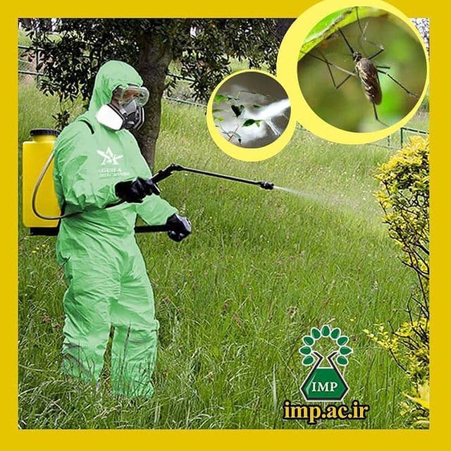 /Uploads/News/مبارزه با حشرات به کمک گیاهان دارویی