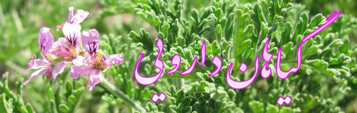 آموزش
