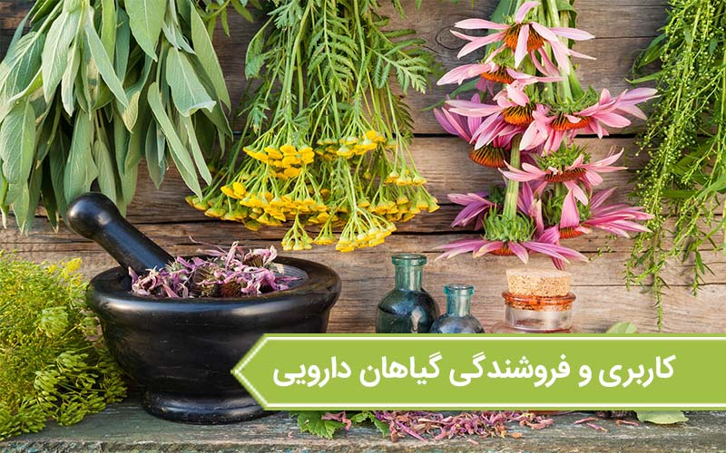 آموزش
