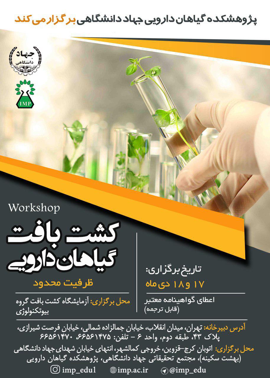 آموزش