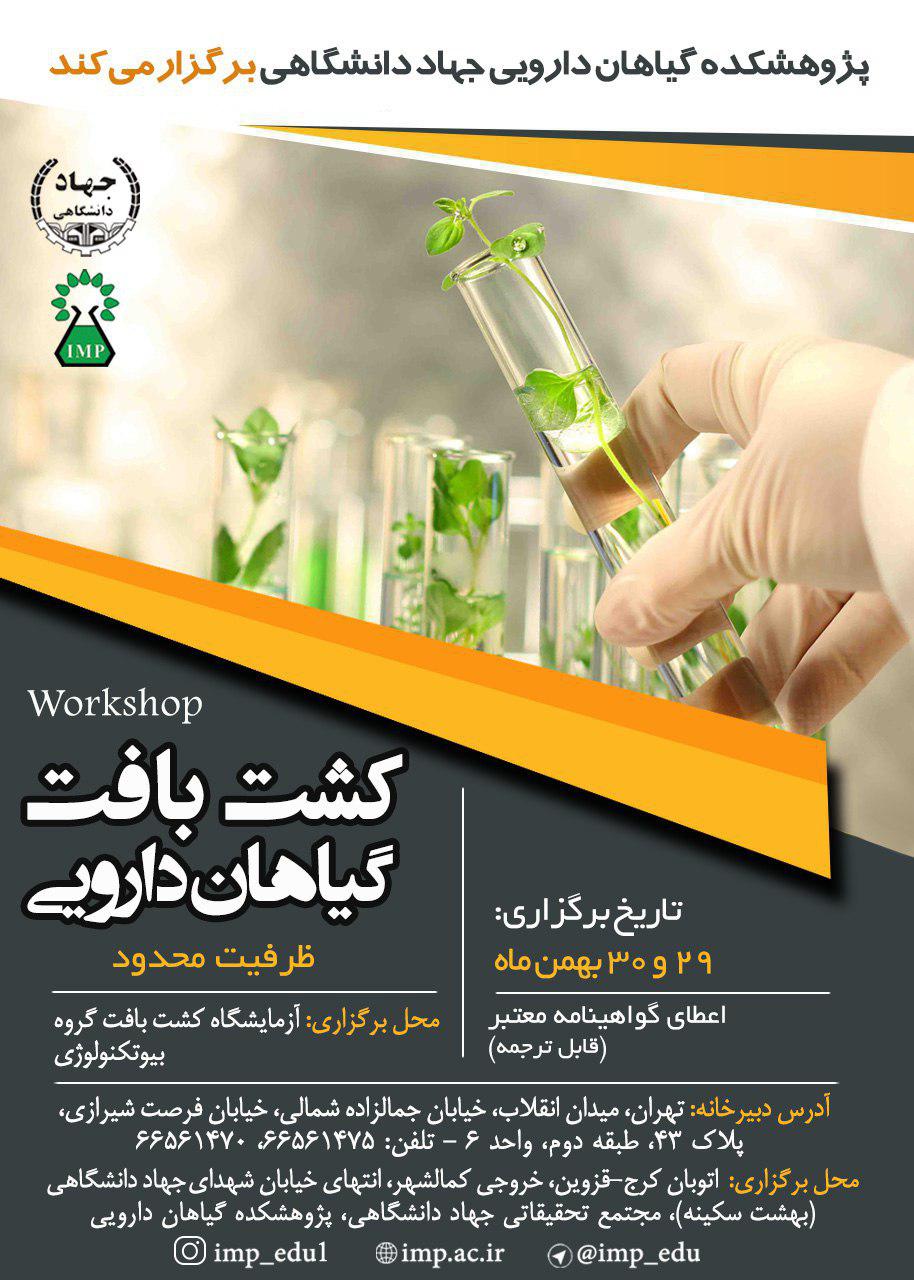 آموزش